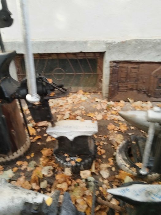 Nicovala mare veche 200 de ani