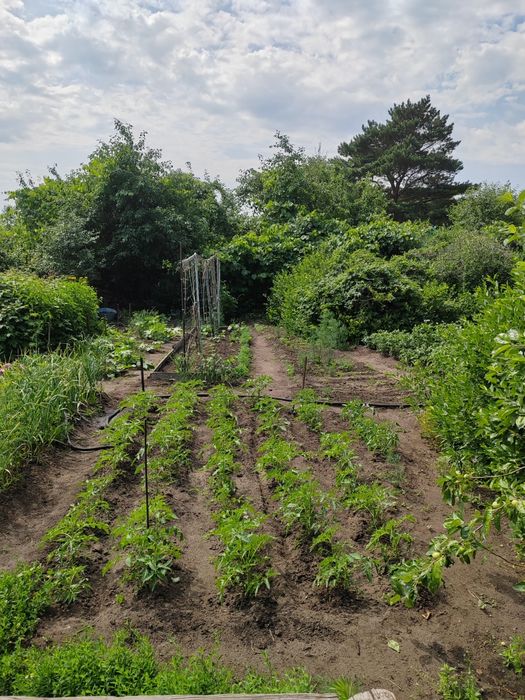 Продам дачу 17 маршрут 1 общество