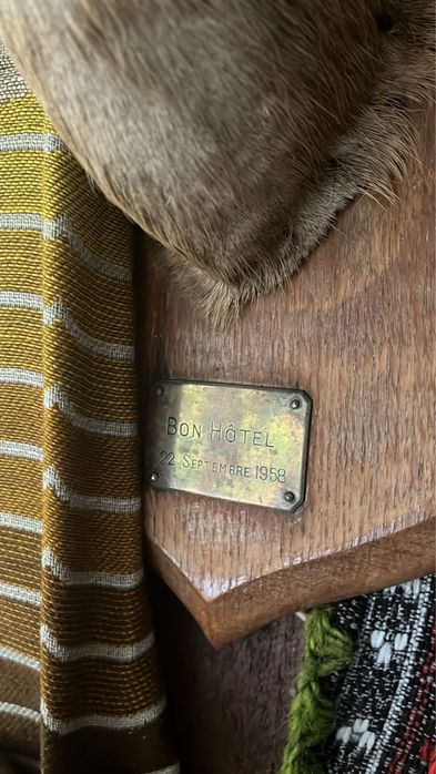 Cap de caprioara impaiat