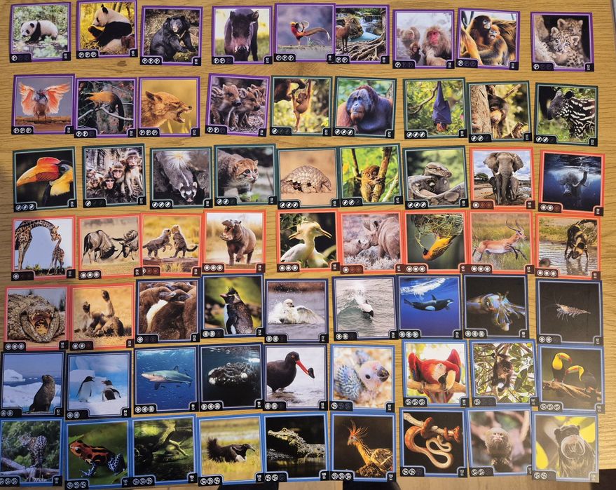 Cartonase Cubul Animalelor Salbatice