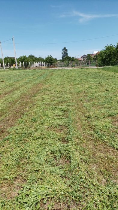 Baloti de   fan verzi