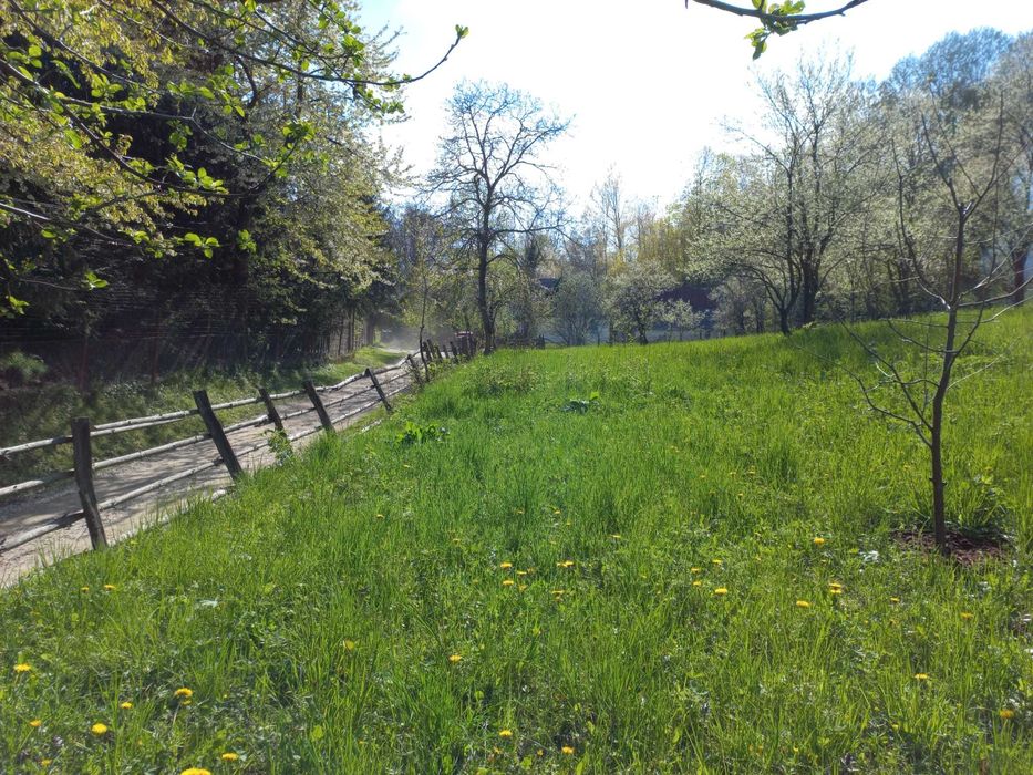 Teren de vanzare - Breaza - 1950mp