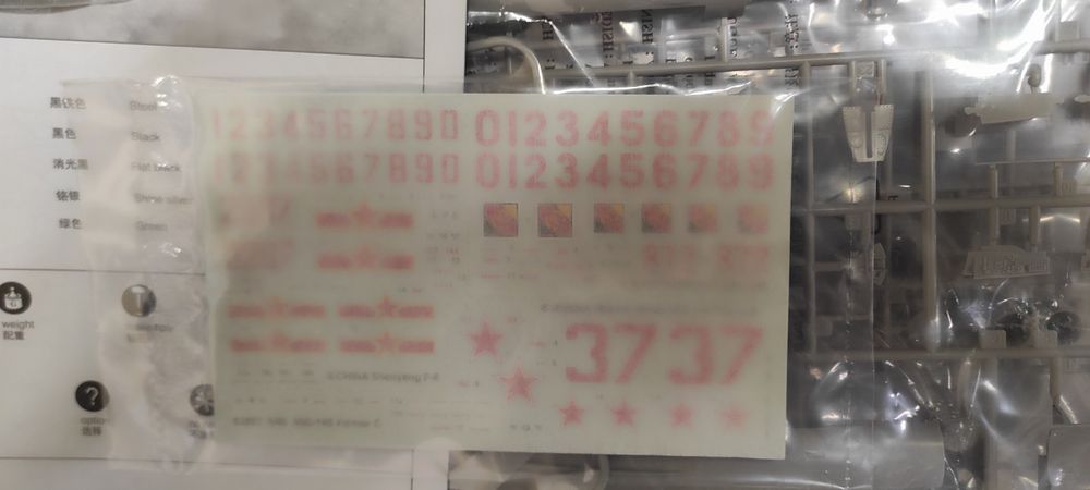 Модель самолета МИГ-19С