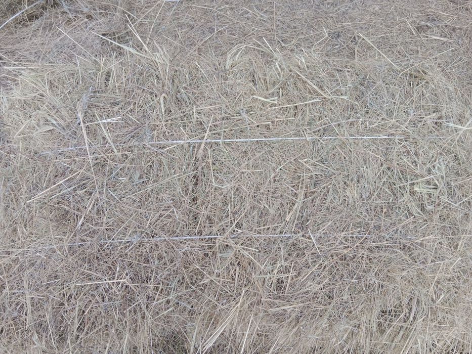 Көк шөп сатылады.