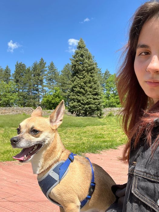 Разходки и грижи за кучета