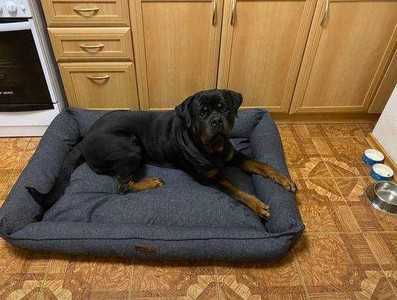 Товар для животных