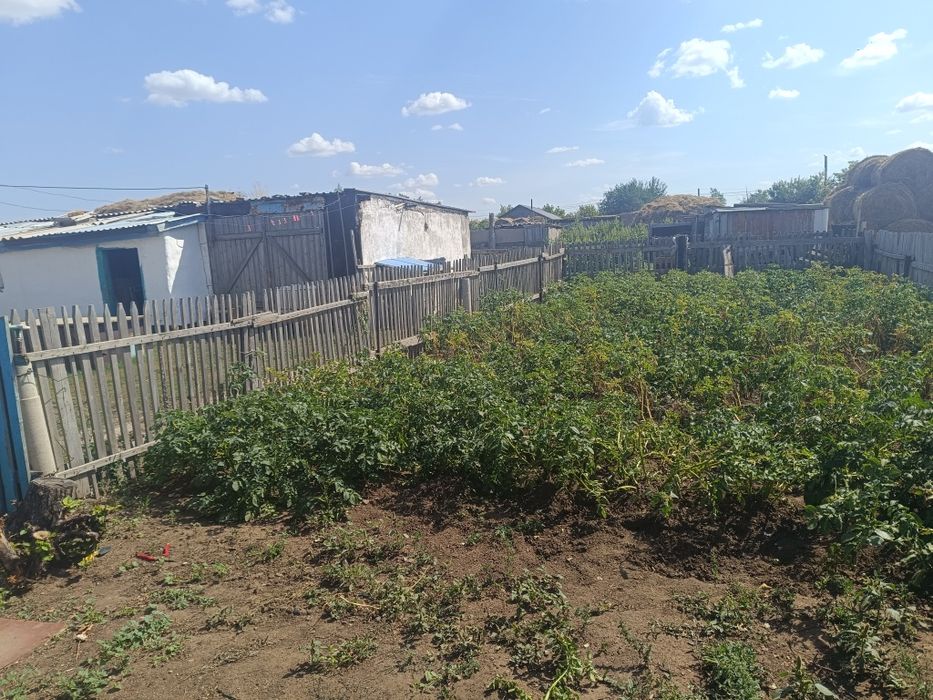 Продам дом в селе тургай