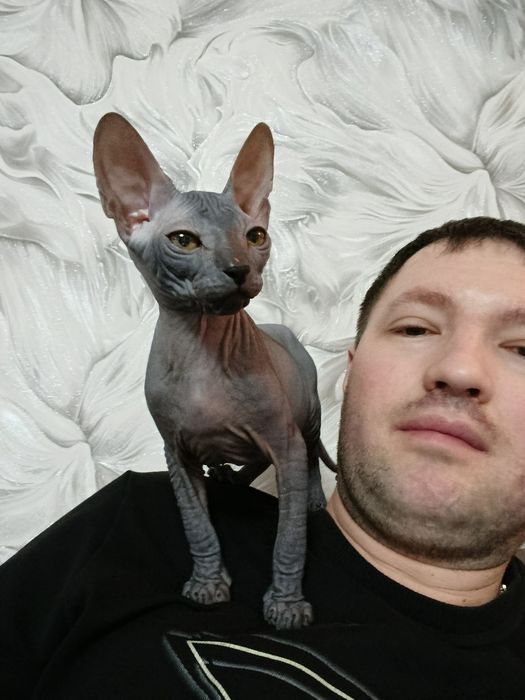 Вязка сфинкса!!!