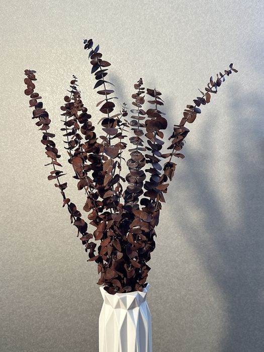 Эвкалипт стабилизированный, букет, цветы, сухоцветы.