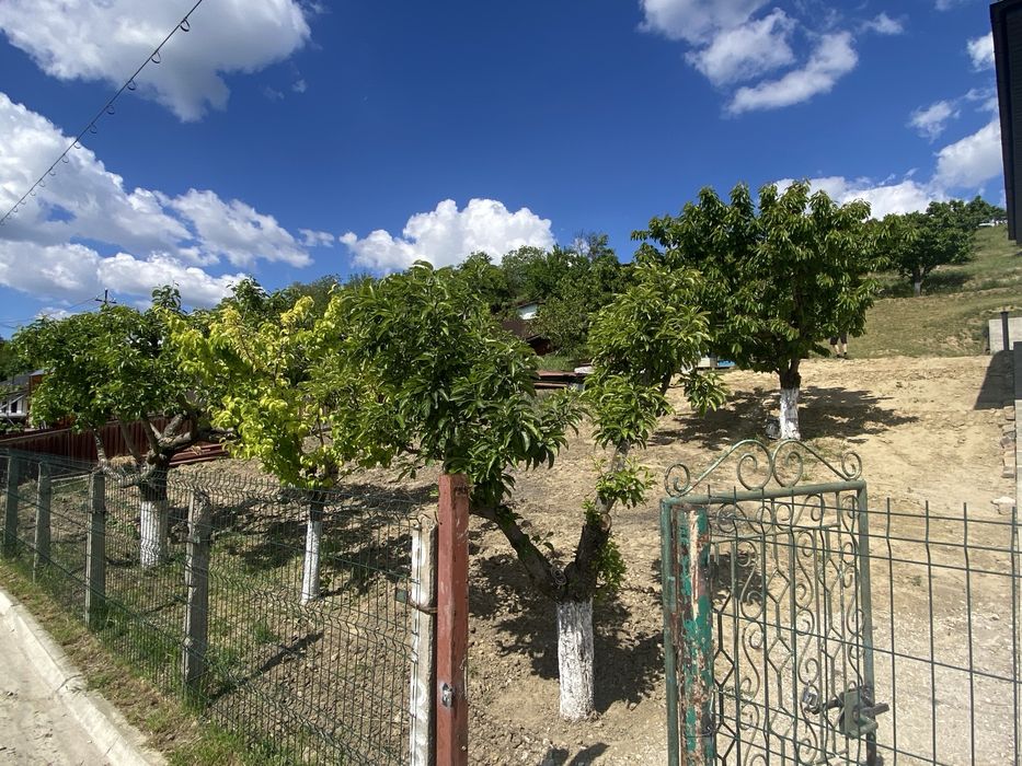 Teren Muntenii de Jos 981 mp cu utilitati si asfalt
