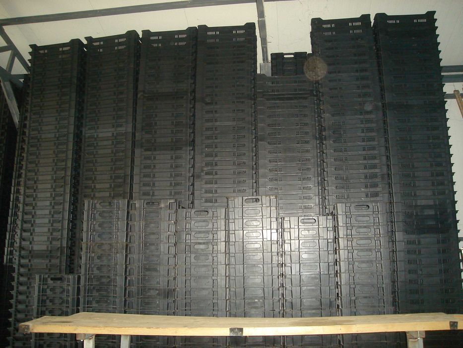 lazi fructe diferite dimensiuni