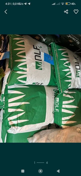 .Беда карлик.декор клевер.