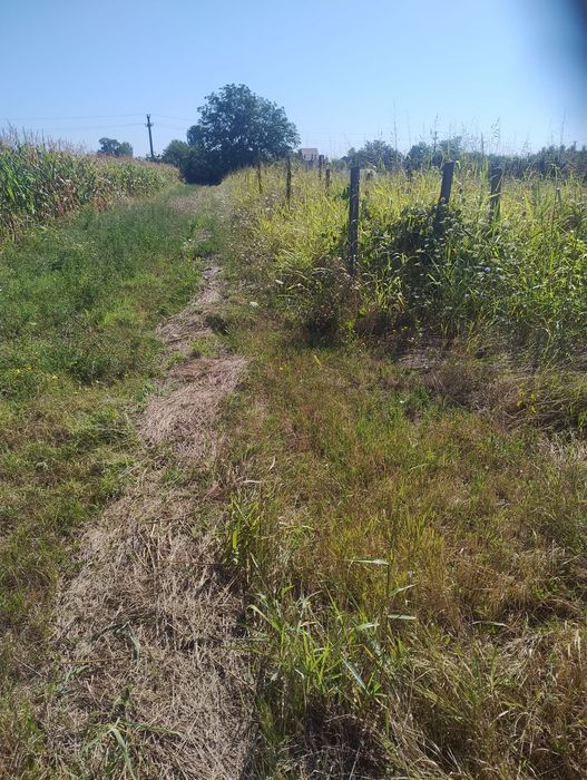 TEREN INTRAVILAN 2.800 MP, Stradal, la 5 minute de Slatina, liber