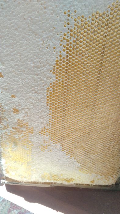 Мёд натуральный, свежий