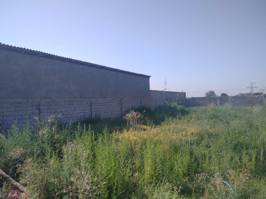 Nazarbek tekistilda yer sotladi