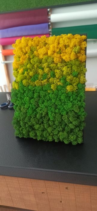 Картина - пано със скандинавски мъх