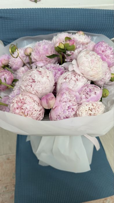 Продаю кустовые пионы