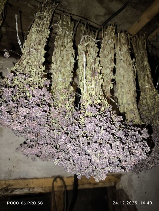 Банные веники и травы