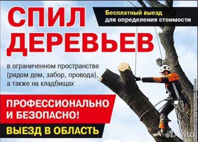 Спил деревьев. Крониравоние деревьев