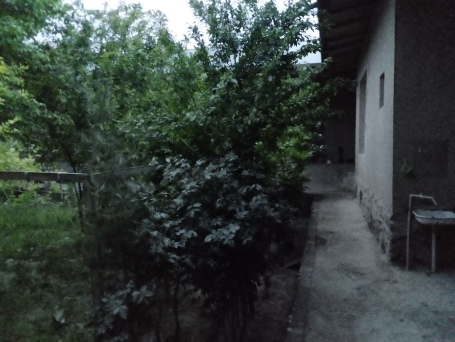 Ховли сотилади.Фарход савхозида 6 сутик