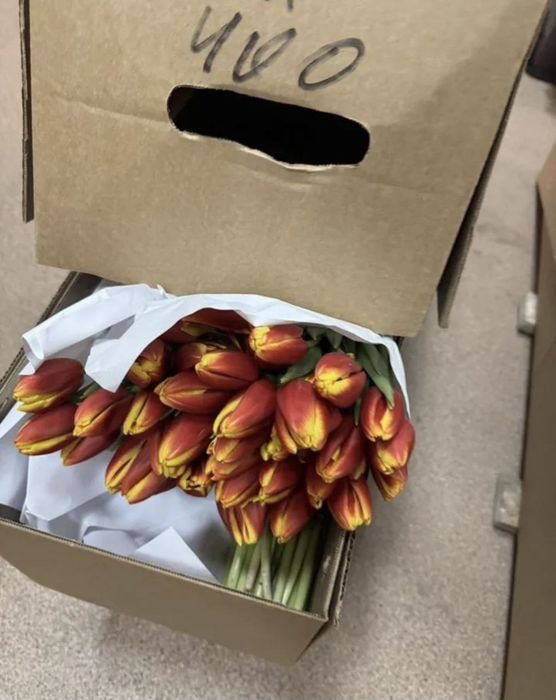 Тюльпаны оптом свежая вырезка