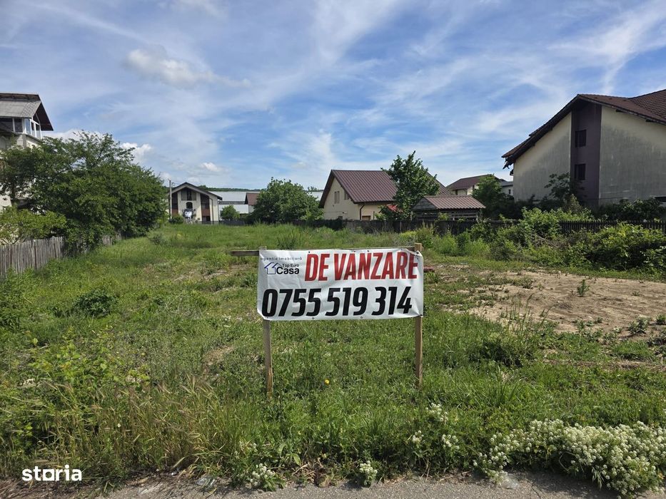 Teren Mioveni