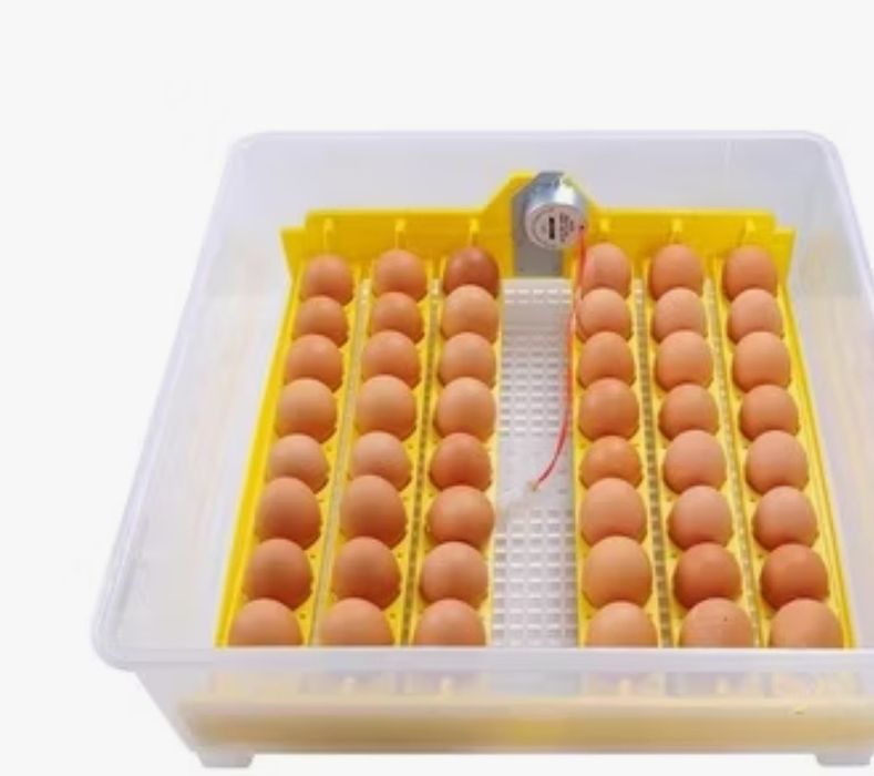 Напълно автоматичен инкубатор за 48 яйца