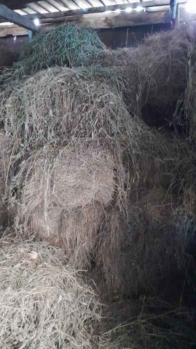 Шоп сатам тюковой