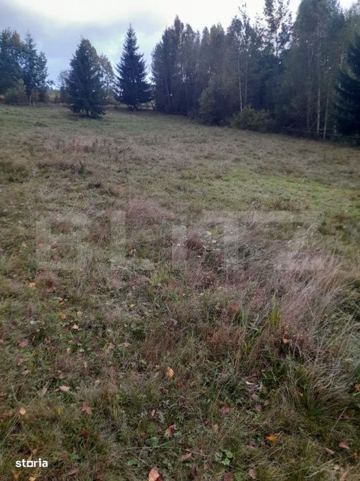 Teren intravilan de vanzare, 2280 mp, Vatra Dornei