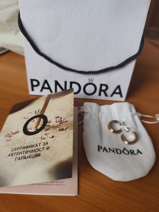 Pandora обици "Тук и сега"