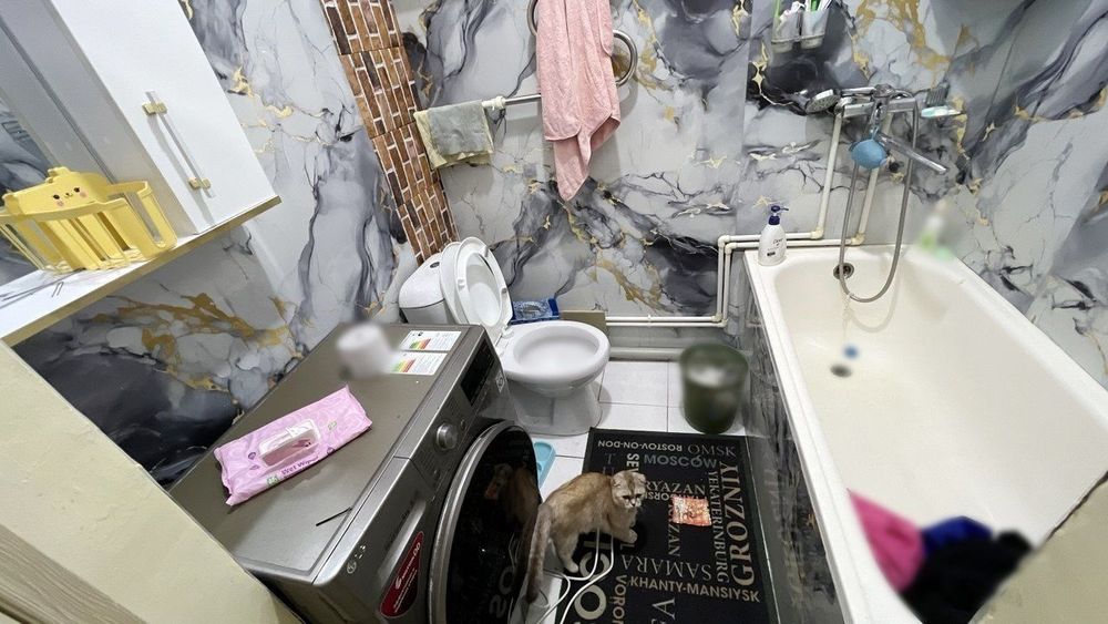 2 хонали квартира сотилади