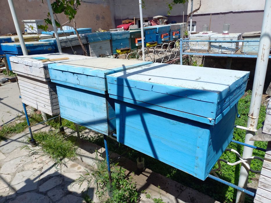 Асаларилар сотилади