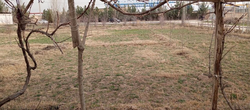 Тугалланмаган янги участка