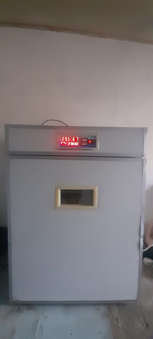 Yangi Inkubator sotiladi 1056 ta tovuq tuxumi ketadi