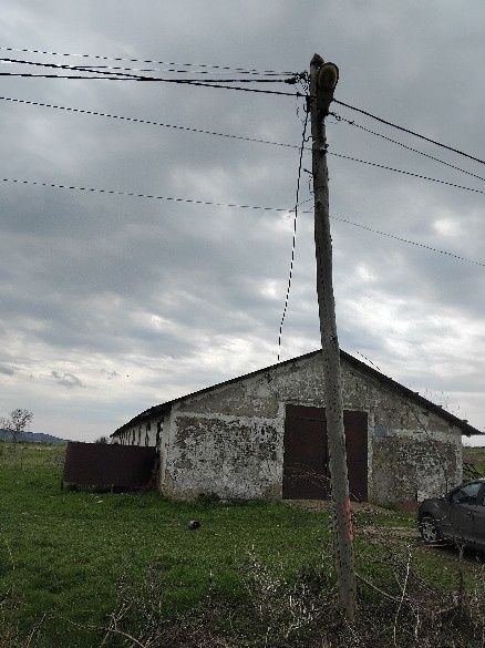 Hala de vanzare Slobozia Conachi
