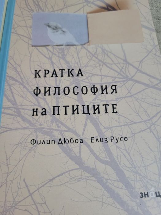 Кратка философия на птиците