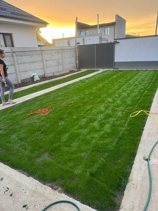 Ingrijire gazon la standarde profesionale