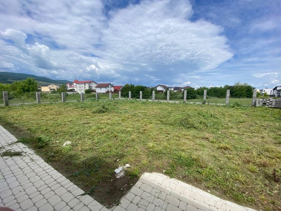 Servicii Profesionale de tuns iarba si Defrisare -Rapid ,Eficient