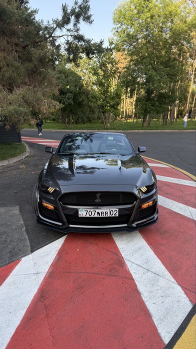 Аренда  прокат Ford Mustang