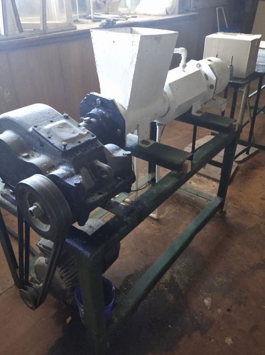 Kir sabin tayor biznes