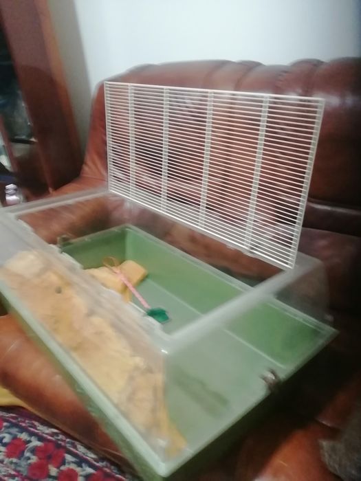 Террариум для ящериц, черепах, лягушек  б/у