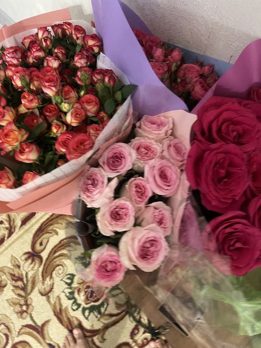 Красивы Свежие цветы