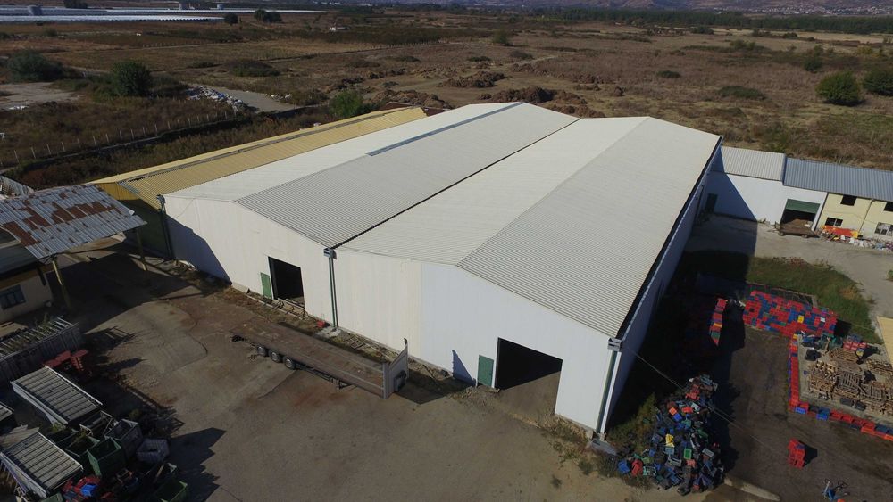 Дава се под наем Склад в с. Рупите, Област Благоевград - 14500 кв.м за 498.27 € - Снимка #14