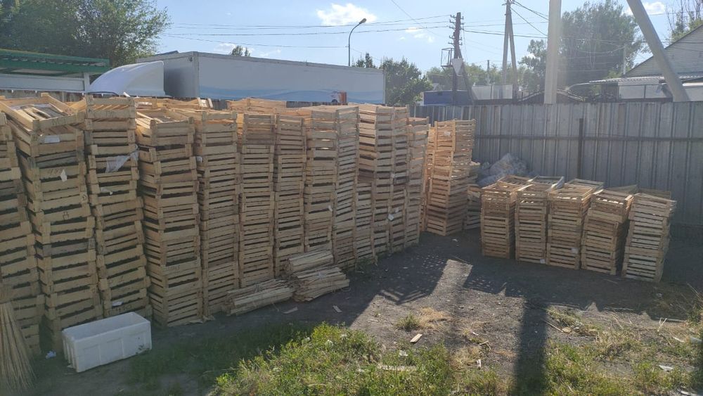 Пластмасовые ящики от мандаринов