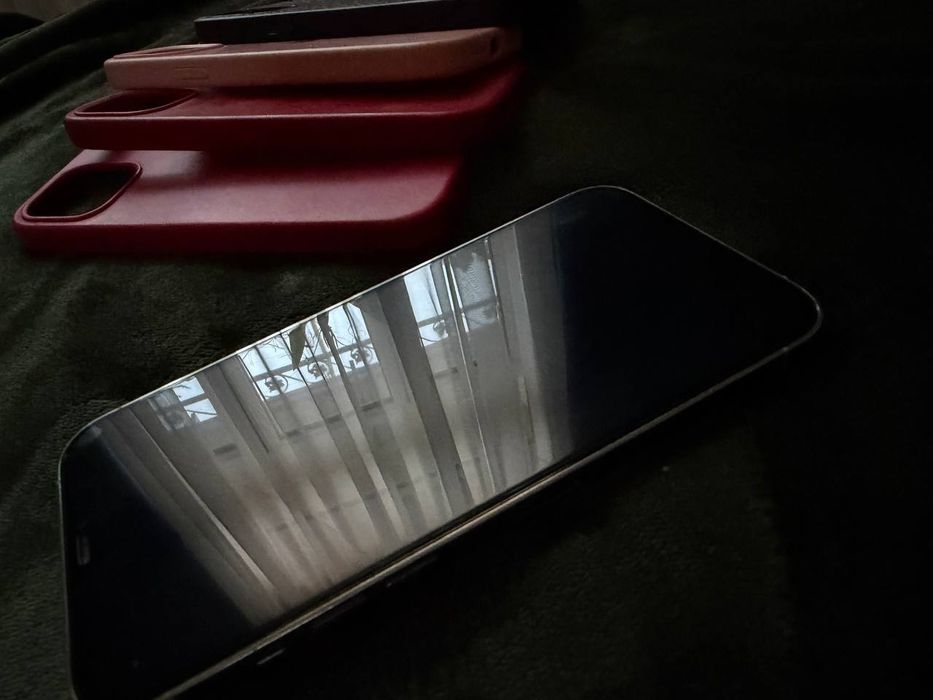 iPhone 12 pro max