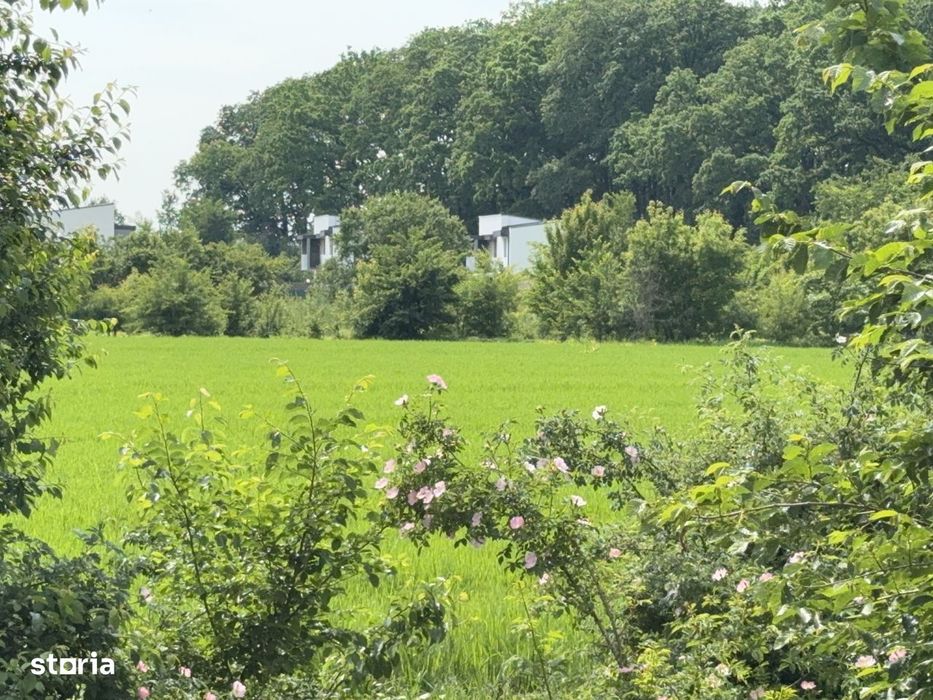 Teren intravilan 498,02 mp langa pădure , strada privata Corbeanca