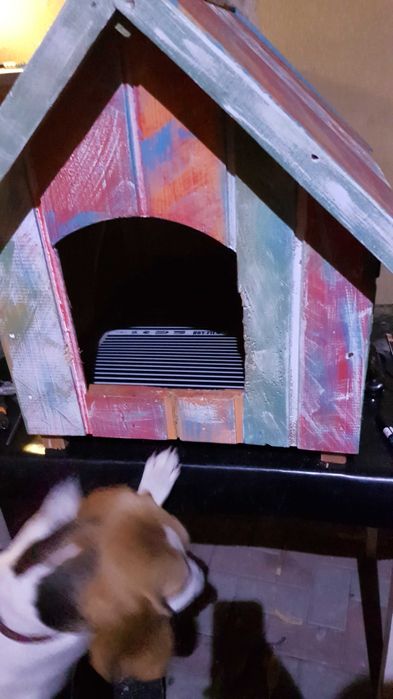 Incalzire cusca caini