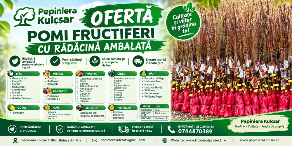 Pomi fructifeti certificat ambalati en gross