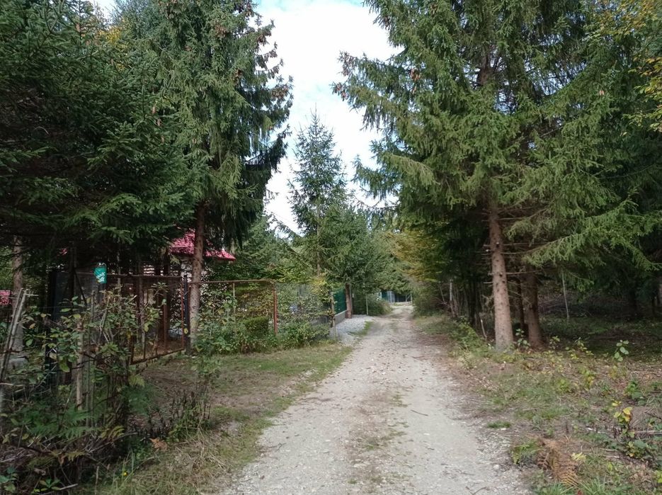 Teren intravilan de vanzare