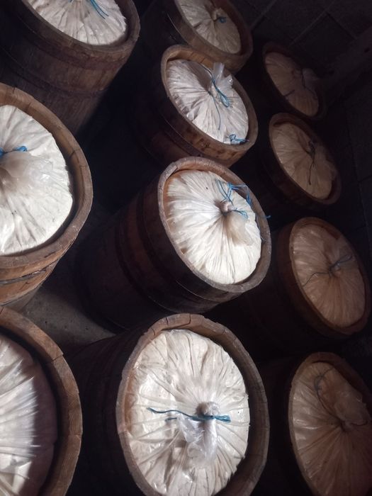 Vând telemea de oaie veche